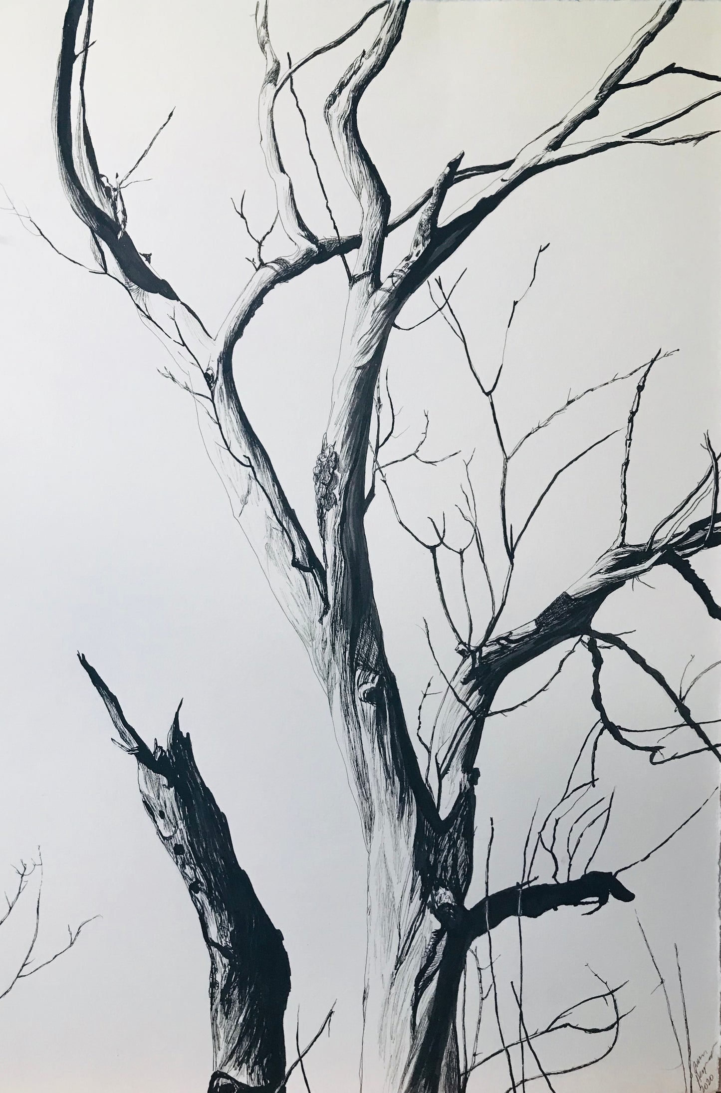 Bend, pen and ink drawing - sold